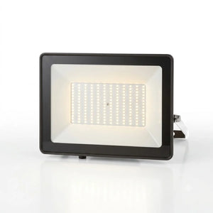 Proyector LED Polux 100W Luz Fría Ip66 Faretto